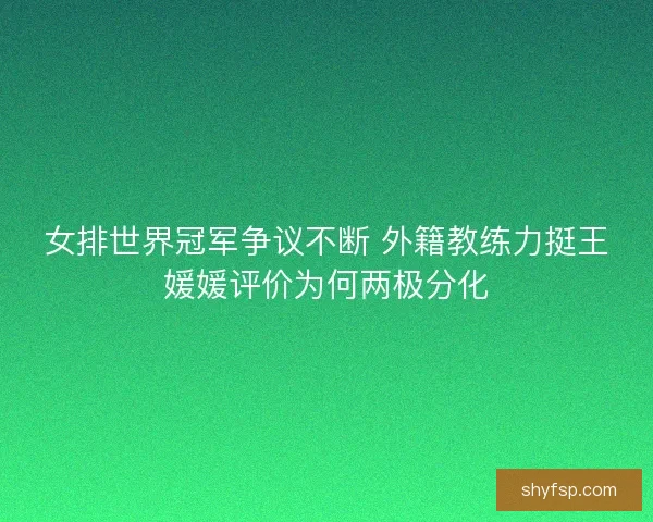 女排世界冠军争议不断 外籍教练力挺王媛媛评价为何两极分化